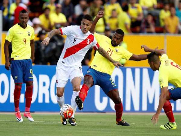 Soi kèo trận đấu Ecuador vs Peru